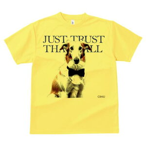 {]C TVc fB[X t@  t  vg JWA 킢 lԗp h ̃fUC ʔ lN^C {]C