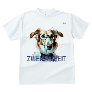 {]C TVc fB[X t@  t  vg JWA 킢 lԗp h ̃fUC ʔ Kl {]C lN^C