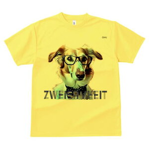 {]C TVc fB[X t@  t  vg JWA 킢 lԗp h ̃fUC ʔ Kl {]C lN^C