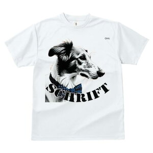 {]C TVc fB[X t@  t  vg JWA 킢 lԗp h ̃fUC ʔ Ȃ {]C