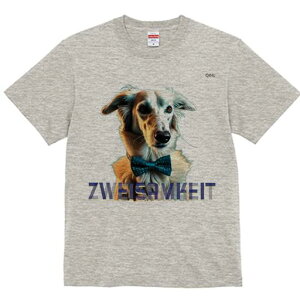 T[L TVc fB[X t@  t  vg JWA 킢 lԗp h ̃fUC ʔ lN^C T[L