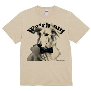 {]C TVc fB[X t@  t  vg JWA 킢 lԗp h ̃fUC ʔ lN^C {]C