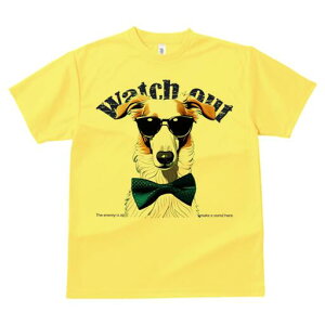 {]C TVc fB[X t@  t  vg JWA 킢 lԗp h ̃fUC ʔ TOX {]C lN^C