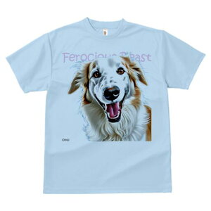 S[fgo[ TVc fB[X t@  t  vg JWA 킢 lԗp h ̃fUC ʔ S[fgo[