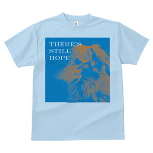 AtKnEh TVc fB[X t@  t  vg JWA 킢 lԗp h ̃fUC ʔ AtKnEh