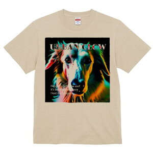 {]C TVc fB[X t@  t  vg JWA 킢 lԗp h ̃fUC ʔ TVc {]C fUC t@bV Xg[gt@bV