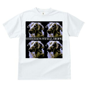 AtKnEh TVc fB[X t@  t  vg JWA 킢 lԗp h ̃fUC ʔ AtKnEh