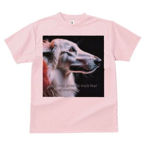 AtKnEh TVc fB[X t@  t  vg JWA 킢 lԗp h ̃fUC ʔ AtKnEh