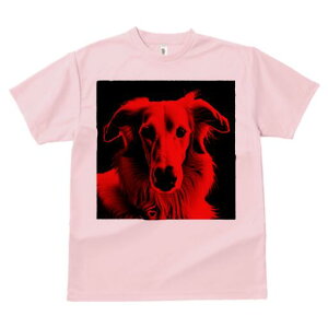 {]C TVc fB[X t@  t  vg JWA 킢 lԗp h ̃fUC ʔ {]C