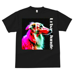 {]C TVc fB[X t@  t  vg JWA 킢 lԗp h ̃fUC ʔ {]C