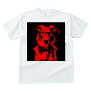 {[_[R[ TVc Y LbY t@  t  vg JWA 킢 lԗp h ̃fUC ʔ Kl {[_[R[ lN^C