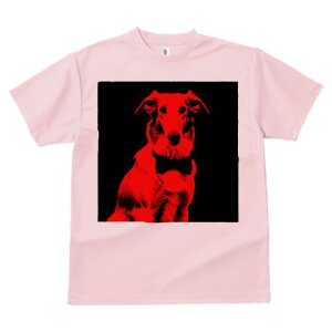 {]C TVc fB[X t@  t  vg JWA 킢 lԗp h ̃fUC ʔ lN^C {]C