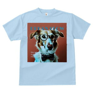 {[_[R[ TVc fB[X t@  t  vg JWA 킢 lԗp h ̃fUC ʔ Kl {[_[R[ lN^C