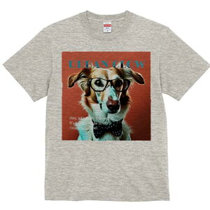 {[_[R[ TVc fB[X t@  t  vg JWA 킢 lԗp h ̃fUC ʔ Kl {[_[R[ lN^C