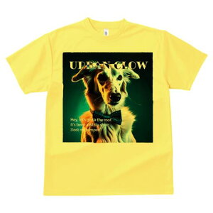 AtKnEh TVc fB[X t@  t  vg JWA 킢 lԗp h ̃fUC ʔ lN^C AtKnEh