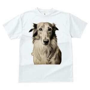 {]C TVc fB[X t@  t  vg JWA 킢 lԗp h ̃fUC ʔ ybg {]C  킢 