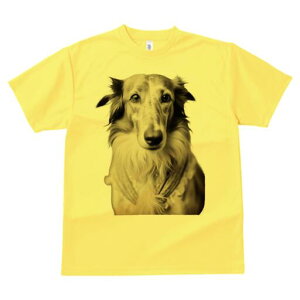 {]C TVc fB[X t@  t  vg JWA 킢 lԗp h ̃fUC ʔ ybg {]C  킢 