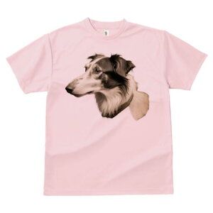 {]C TVc fB[X t@  t  vg JWA 킢 lԗp h ̃fUC ʔ {]C