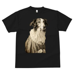 ボルゾイ Tシャツ レディース 犬ファン 半袖 春夏 犬柄 プリント カジュアル かわいい 人間用 個性派 ここだけのデザイン 面白 ドレス ボルゾイ レース