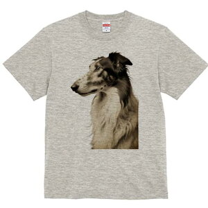 {]C TVc fB[X t@  t  vg JWA 킢 lԗp h ̃fUC ʔ {]C