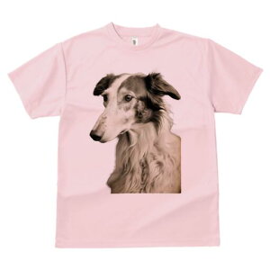 ボルゾイ Tシャツ レディース 犬ファン 半袖 春夏 犬柄 プリント カジュアル かわいい 人間用 個性派 ここだけのデザイン 面白 ボルゾイ