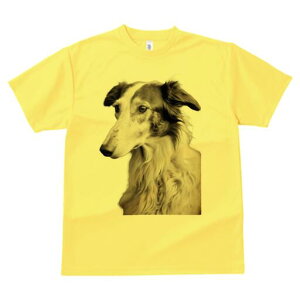 ボルゾイ Tシャツ レディース 犬ファン 半袖 春夏 犬柄 プリント カジュアル かわいい 人間用 個性派 ここだけのデザイン 面白 ボルゾイ