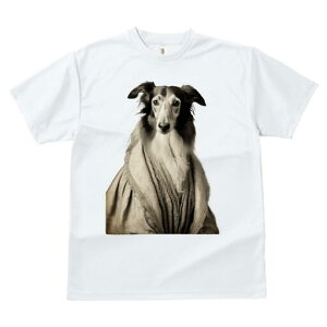 {]C TVc fB[X t@  t  vg JWA 킢 lԗp h ̃fUC ʔ hX {]C [X