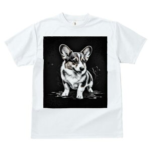 TVc fB[X t@  t vg JWA 킢 lԗp tBbglX wi R[M[ A[g[N G敗