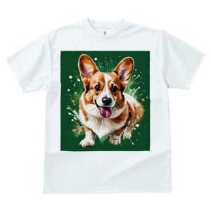 TVc fB[X t@  t vg JWA 킢 lԗp tBbglX XvbVA[g R[M[ ۊG ΂̔wi y