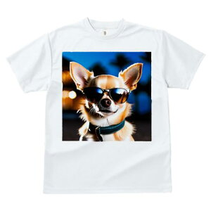 TVc fB[X t@  t vg JWA 킢 lԗp tBbglX TOX ` J[ i VGbg