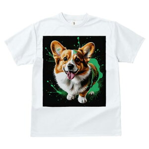 TVc fB[X t@  t vg JWA 킢 lԗp tBbglX G R[M[ XvbV A[g