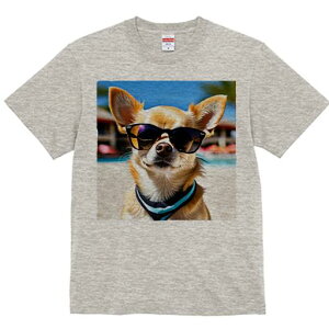 TVc Y LbY t@  t vg JWA 킢 lԗp tBbglX TOX ` r[` o_i ][g V̖