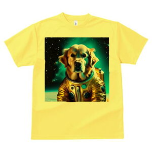 TVc Y LbY t@  t vg JWA 킢 lԗp tBbglX F S[fgo[ Xy[XX[c  Fwi