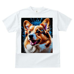 TVc fB[X t@  t vg JWA 킢 lԗp tBbglX G EFVR[M[ F XvbV