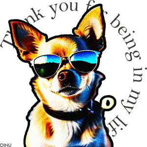 TOX ` Kl ̎ NbVJo[ 45×45cm Aj}   NbV{̕t `