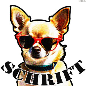 �T���O���X �`���� �N�b�V�����J�o�[ 45×45cm �A�j�}���� ������� ���� �N�b�V�����{�̕t�� �����`