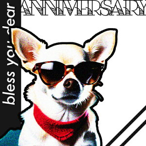 �T���O���X �`���� �Ԃ��X�J�[�t �N�b�V�����J�o�[ 45×45cm �A�j�}���� ������� ���� �N�b�V�����{�̕t�� �����`