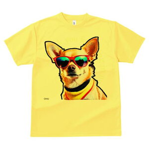 TVc Y LbY t@  t vg JWA 킢 lԗp tBbglX TOX `  F  Kl