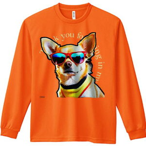 TVc lԗp Y Ht vg W[ AEghA JWA 킢 TOX `  F  Kl