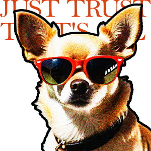 TOX ` ̎ eLXg NbVJo[ 45×45cm Aj}   NbV{̕t `