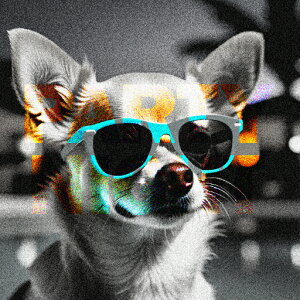 Kl ` y p[eB[ NbVJo[ 45×45cm Aj}   NbV{̕t `