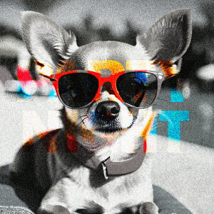 TOX ` Kl J[ 摜 NbVJo[ 45×45cm Aj}   NbV{̕t `