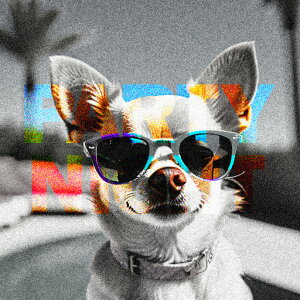 TOX ` V̖ p[eB[ NbVJo[ 45×45cm Aj}   NbV{̕t `