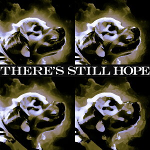 ] ̑ `x[V |X^[A[g NbVJo[ 45×45cm Aj}   NbV{̕t `