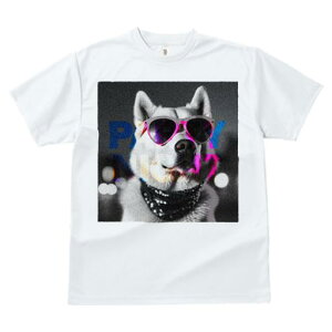 TVc fB[X t@  t vg JWA 킢 lԗp tBbglX TOX Č p[eBiCg r[ỸlbNX