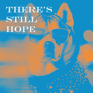 TOX ̑ ] ̏ё G敗 NbVJo[ 45×45cm Aj}   NbV{̕t `