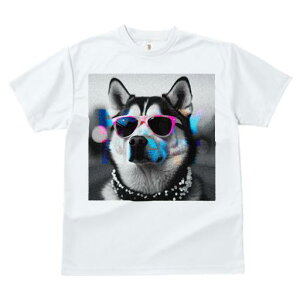 TVc fB[X t@  t vg JWA 킢 lԗp tBbglX TOX VxAnXL[ p[lbNX p[eB[