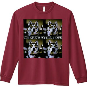 TVc lԗp Y Ht vg W[ AEghA JWA 킢 Kl VxAnXL[ wi 