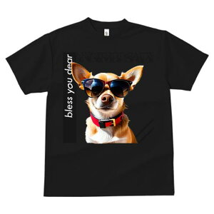 TVc fB[X t@  t vg JWA 킢 lԗp tBbglX TOX ` Ԃ Kl wi