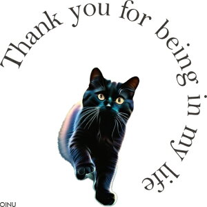 L ӂ̋C |[Y L A[g NbVJo[ 45×45cm Aj}   NbV{̕t `